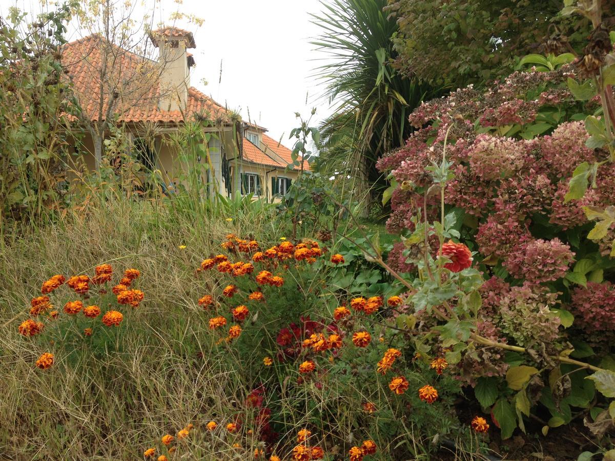 Hotel Casa Vale De Azibo à Macedo de Cavaleiros Extérieur photo